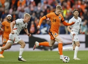 米兰体育官方网站-荷兰队取胜比利时，晋级领先