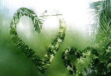 米兰体育入口-葡萄牙游泳名将再次登顶领奖台