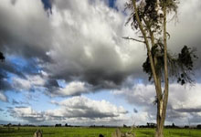 米兰体育官方网站-当11朵玫瑰心跳同频：解密中国女足不可战胜的DNA密码